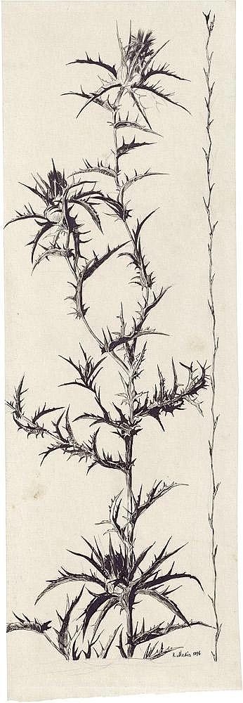 Cardo selvatico in fiore